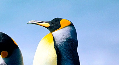 클릭하면 큰 이미지를 볼수 있습니다.